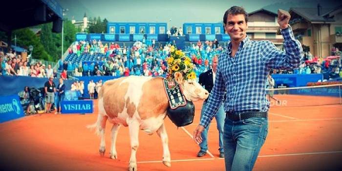 Roger Federer and Cow